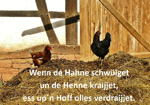 209035916_4237179446325146_42154749850970161_n