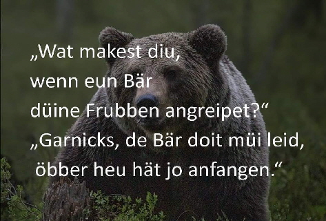 186482664_4101924569850635_2877474284214090898_n