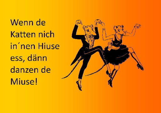 204801279_4223330871043337_6855029320033308852_n