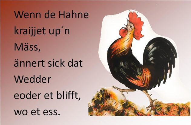 192749658_4146172812092477_3119987220162598711_n