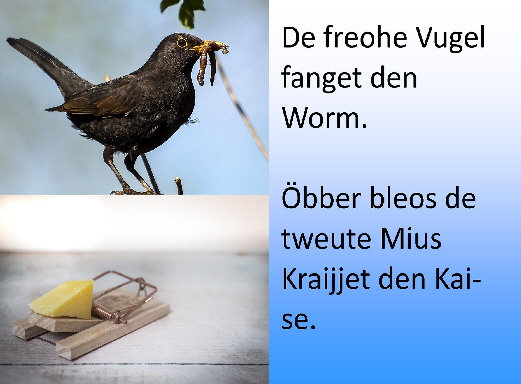 198511482_4168870413156050_37942120173546333_n