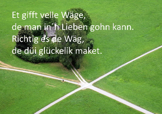 217772765_4274034645972959_3049379766100567482_n