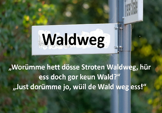 Waldweg 1