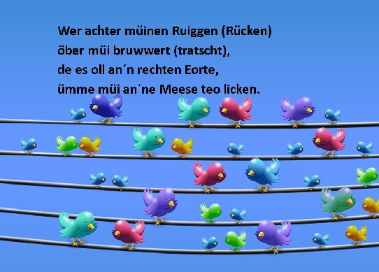165546166_3953947611314999_6262124735971015721_n