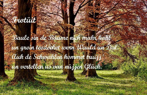 167011044_3965678013475292_3633570270973648567_n