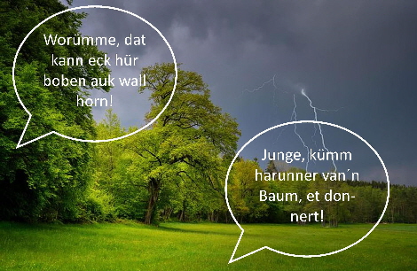 205438378_4218268314882926_2336497482178777452_n