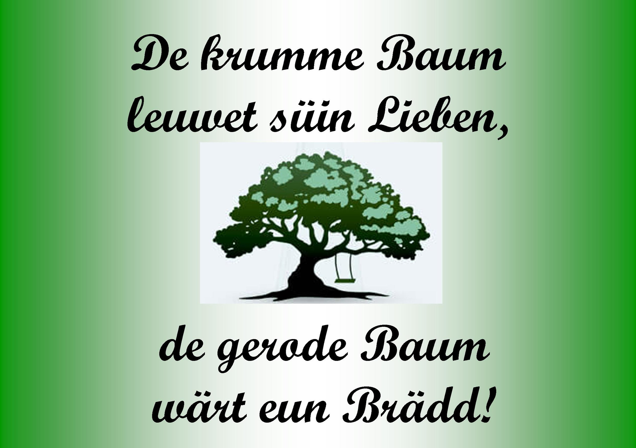 Baum 3
